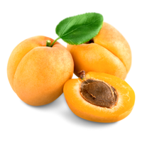 albicocche2