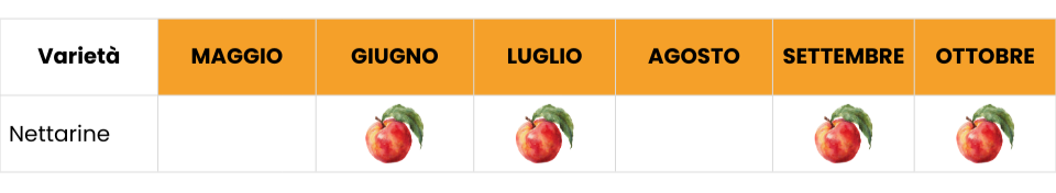 tab-nettarine